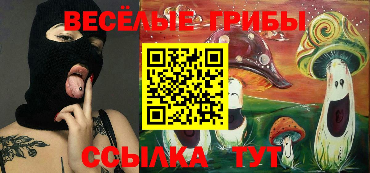 Долгопрудный  Галлюциногенные грибы GOLDEN TEACHER  Вход с VPN  где найти наркотики  Псилоцибиновые грибы ЛСД 