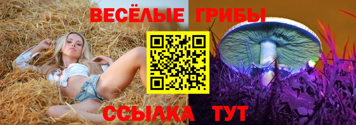 Долгопрудный  Канабис  Метамфетамин  Вход с VPN  ГАШ  Меф МЯУ МЯУ кристаллы  LSD-25  КОКАИН  ГАШ 