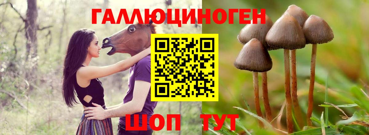 Псилоцибиновые грибы MAGIC MUSHROOMS Долгопрудный